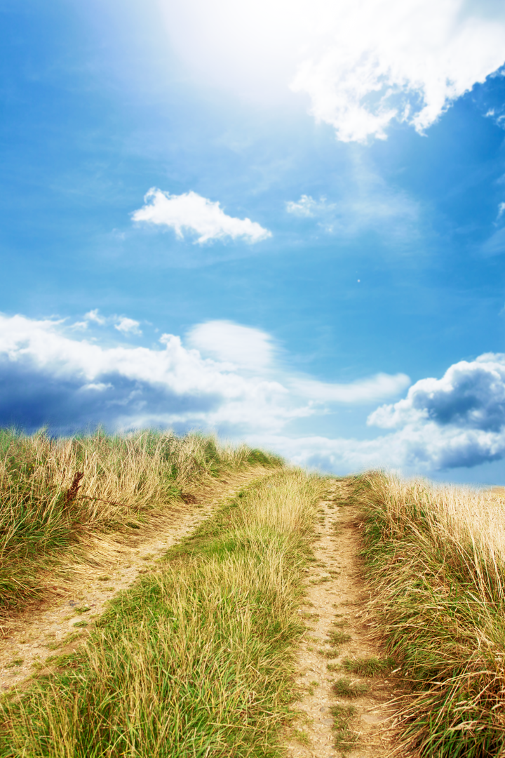 Clear Blue Sky Over Grass-Covered Sand Dune Path - Download Free Stock Images Pikwizard.com