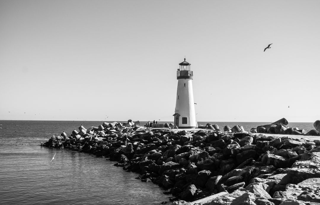 Historic Lighthouse Along Rocky Shoreline in Black and White - Free Images, Stock Photos and Pictures on Pikwizard.com