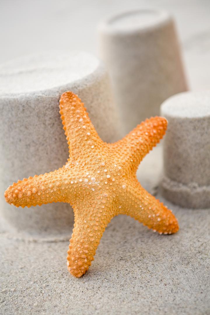 Close-up of three sand castles and starfish on beach - Free Images, Stock Photos and Pictures on Pikwizard.com