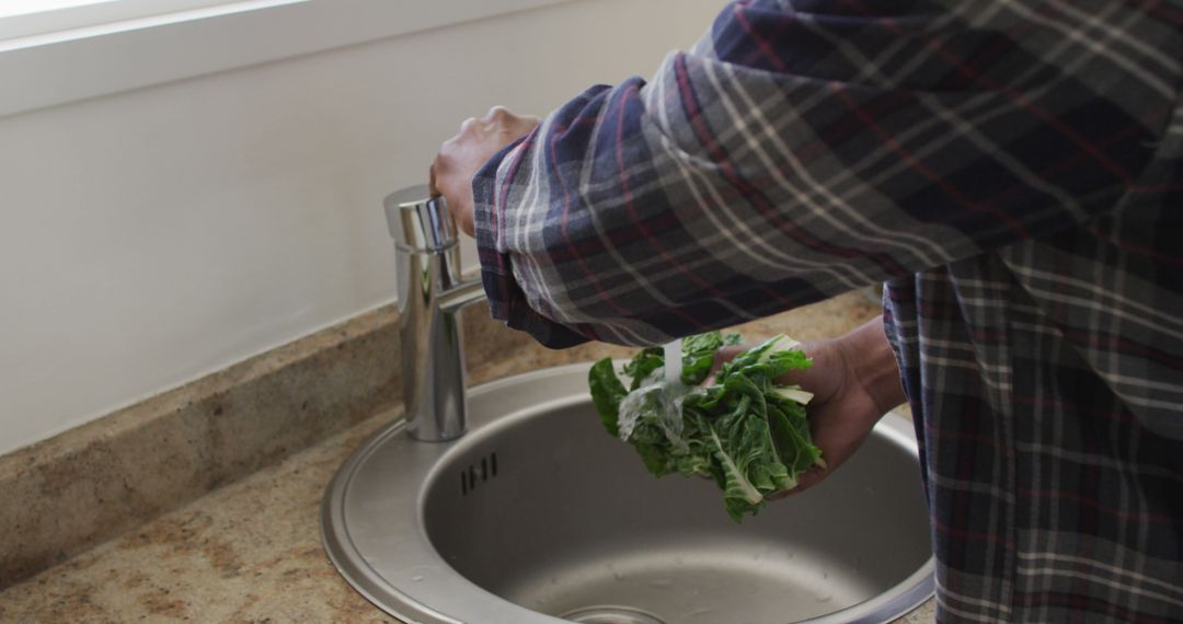 Person washing fresh lettuce leaves at kitchen sink - Free Images, Stock Photos and Pictures on Pikwizard.com