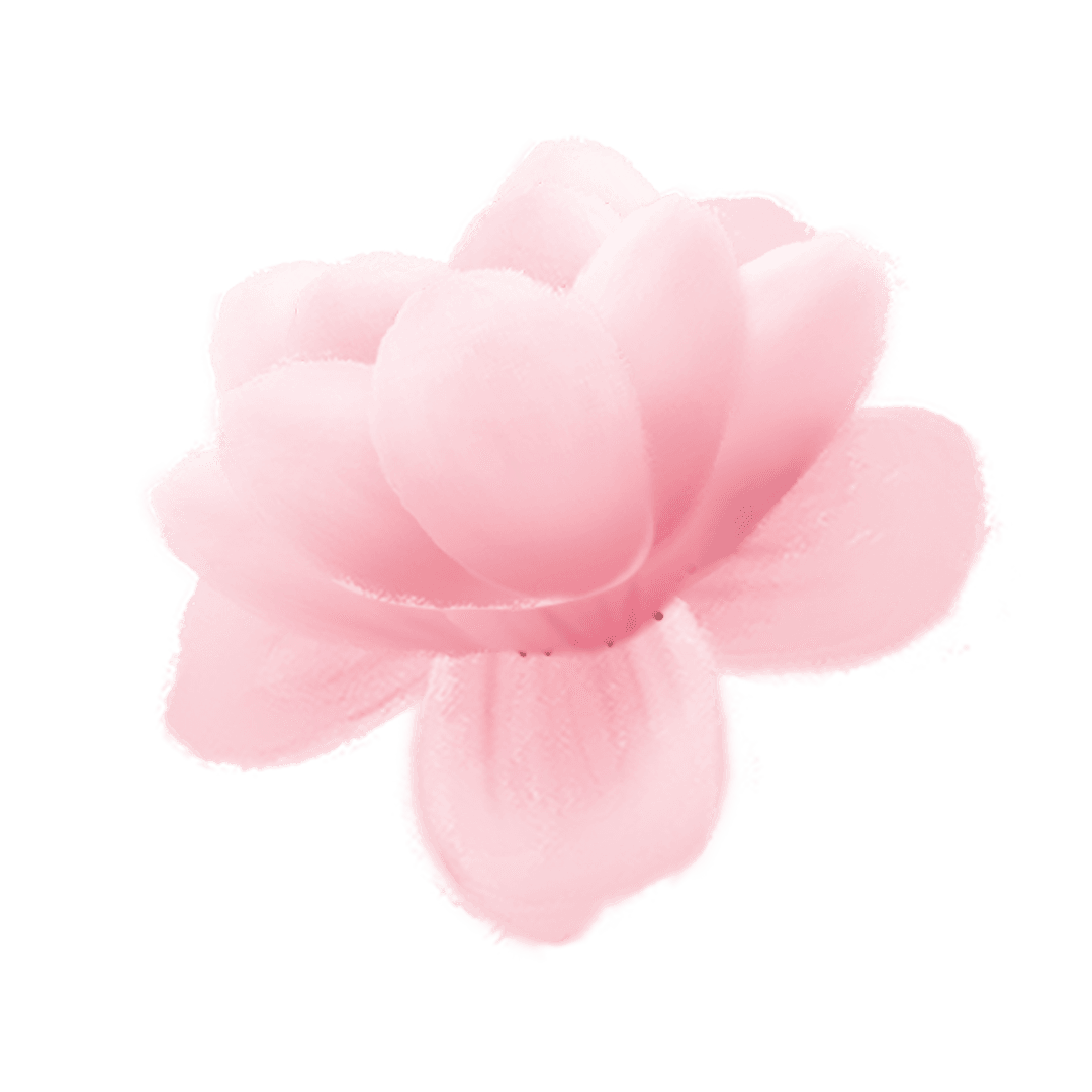 Pink Blossom with Radial Petals on Transparent Background in 3D