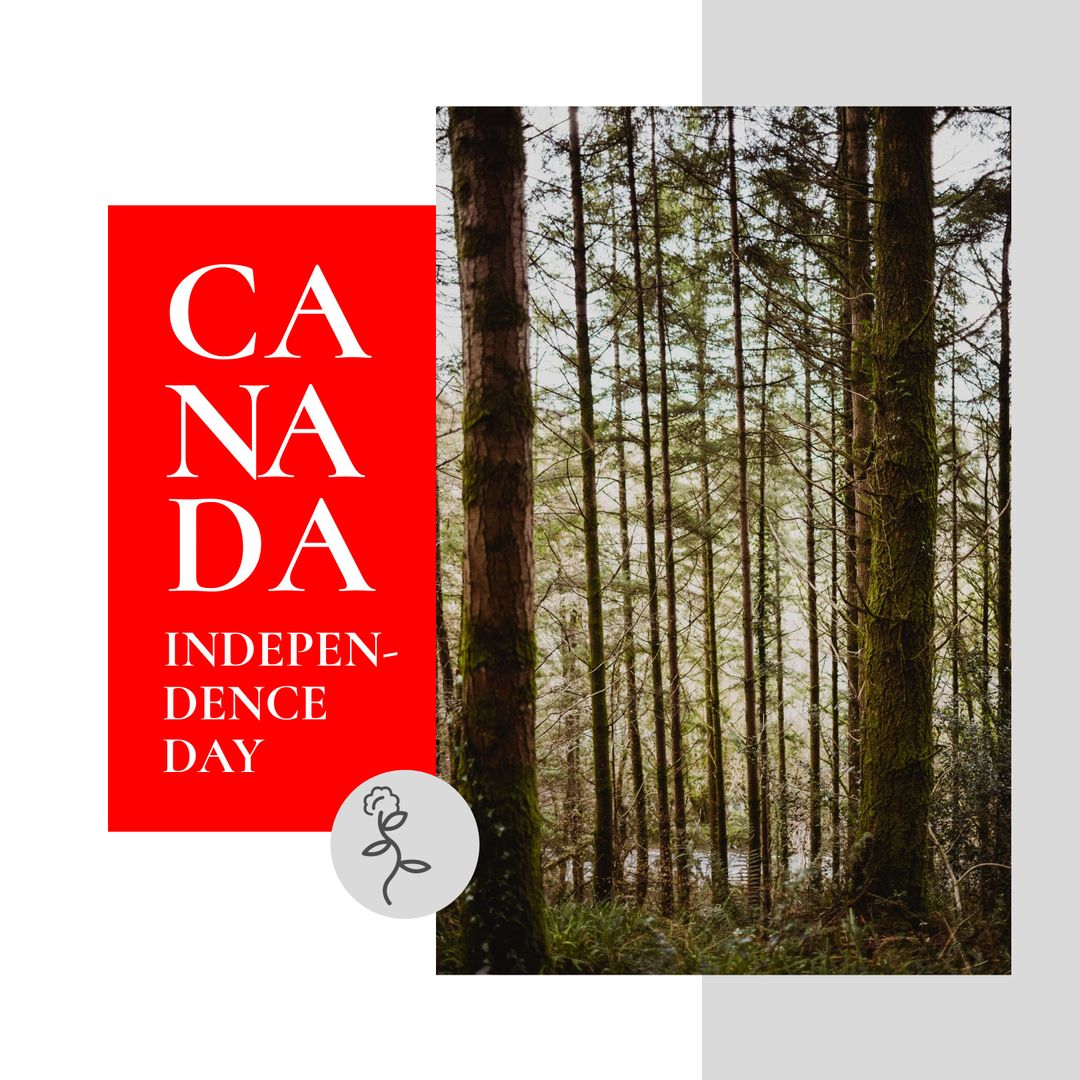 Canada Independence Day Forest Scene