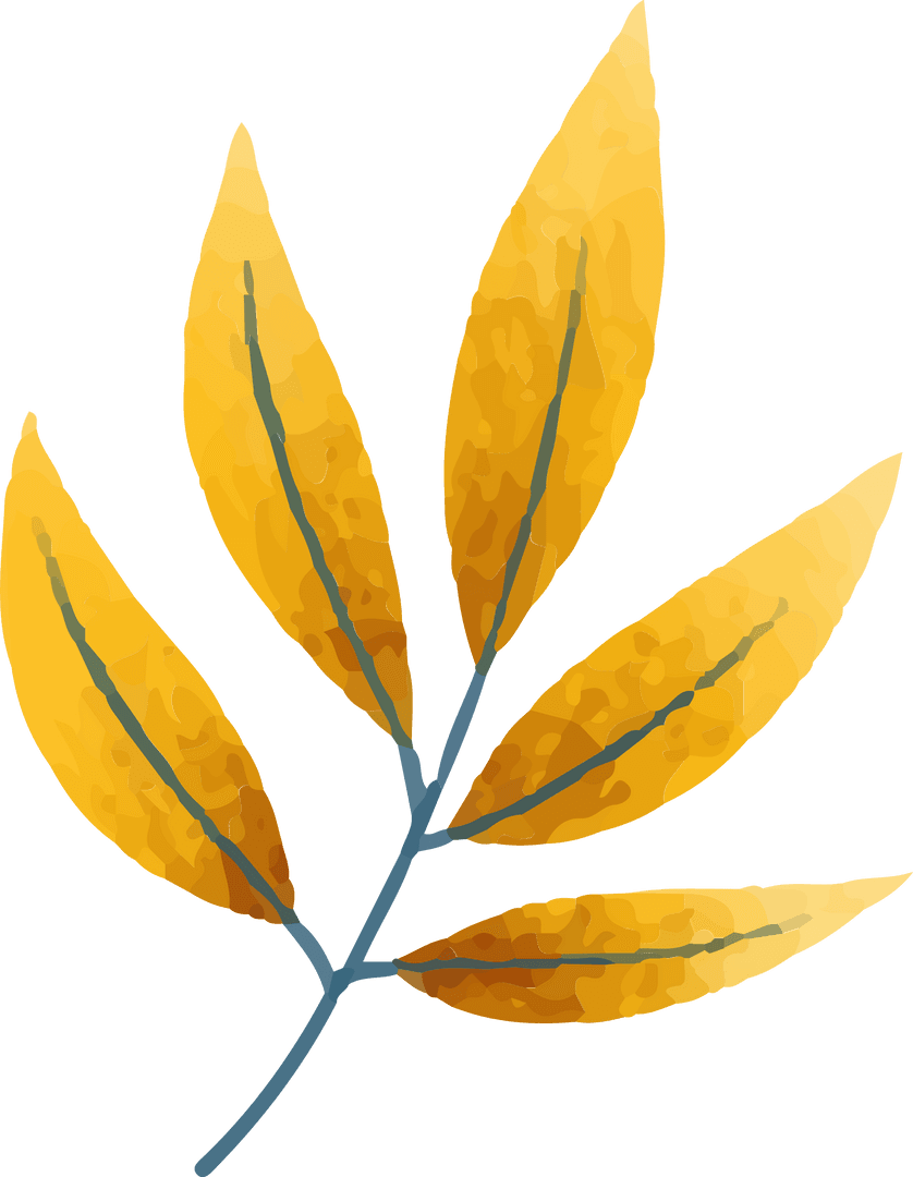Watercolor Golden Yellow Leaves on Transparent Background