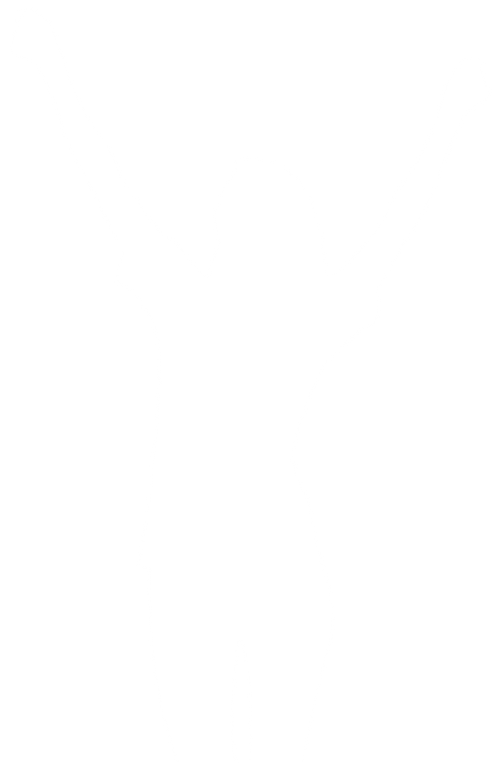 Transparent Silhouette of Woman Celebrating, Sport Concept Vector - Download Free Stock Images Pikwizard.com