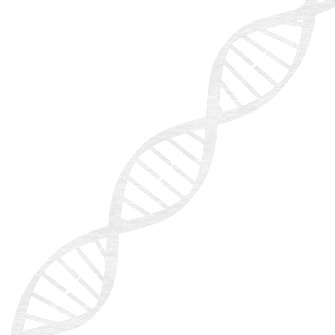 Transparent DNA Strand Icon for Science and Medicine Design
