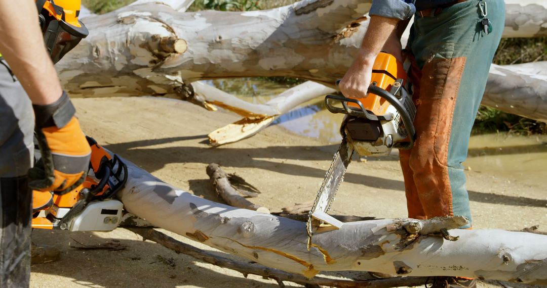 Construction Workers Using Chainsaws for Tree Cutting Outdoors - Free Images, Stock Photos and Pictures on Pikwizard.com