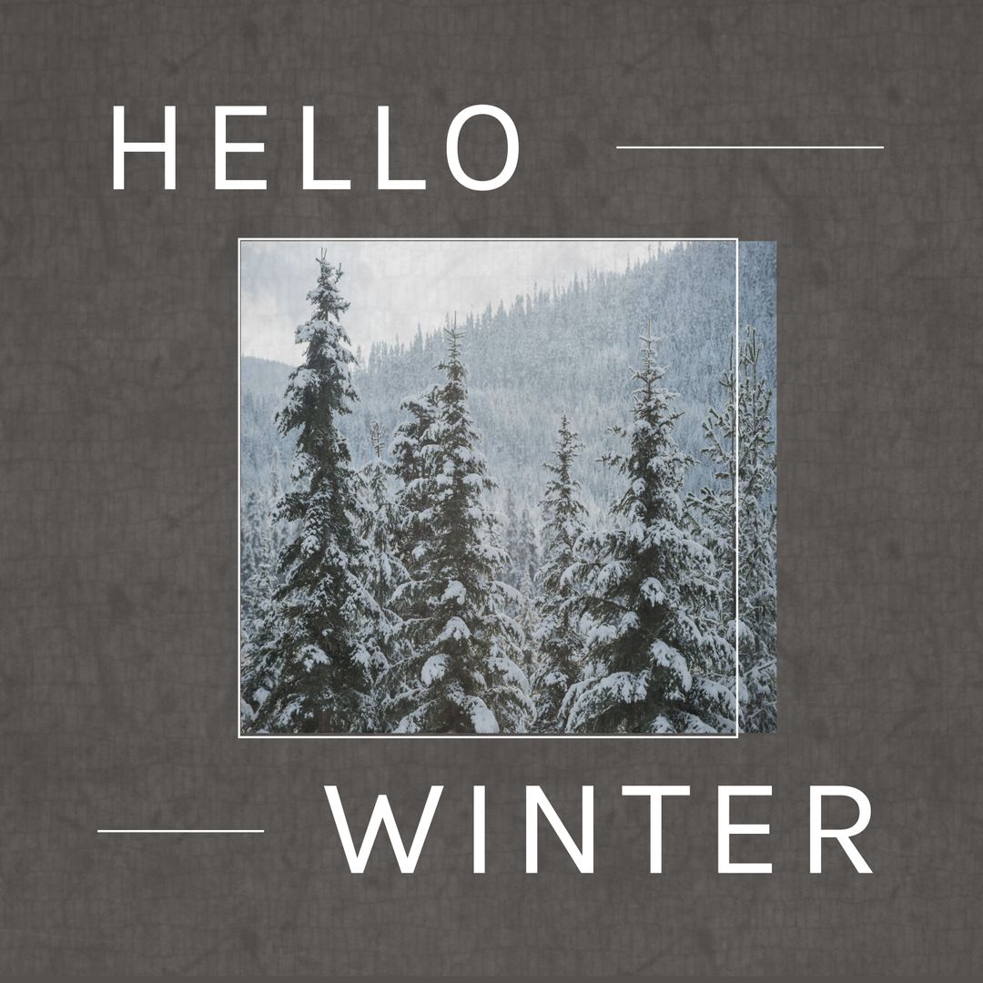 Winter Forest with Seasonal Hello Winter Greeting