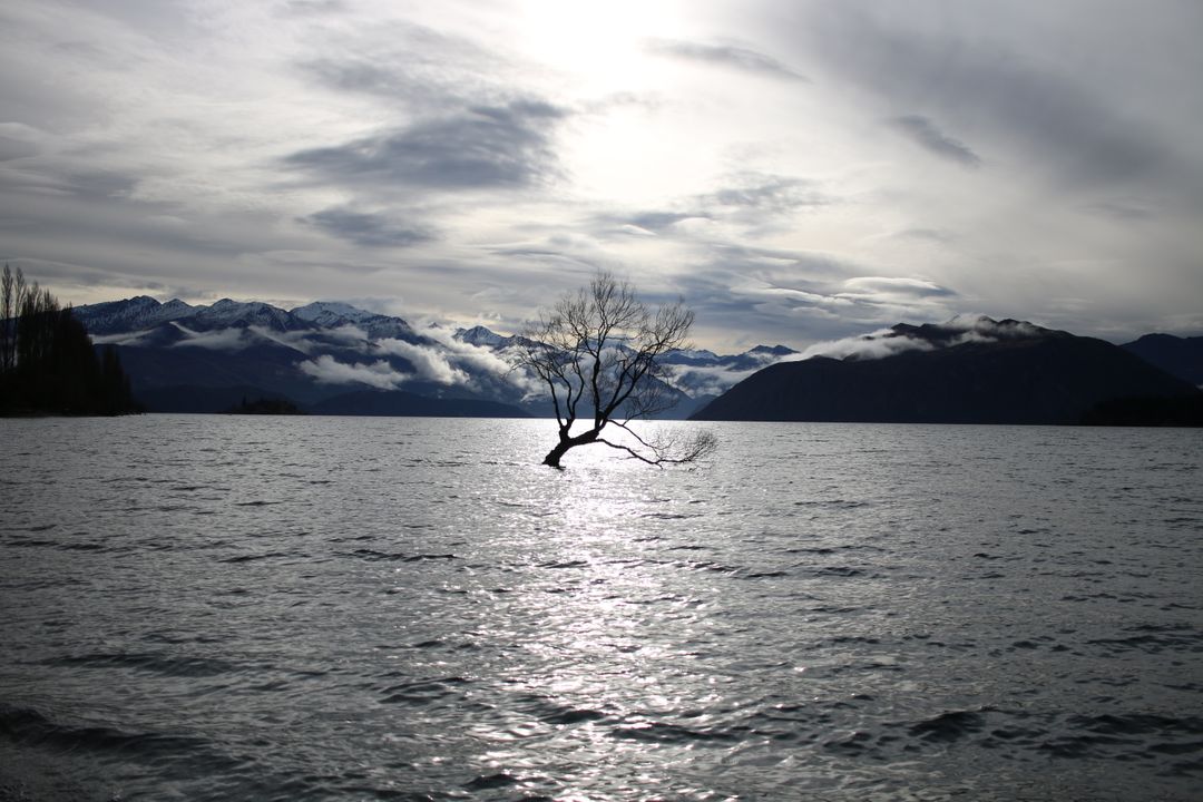 Lonely Tree in Wide Lake at Sunset with Majestic Mountains in Background - Free Images, Stock Photos and Pictures on Pikwizard.com