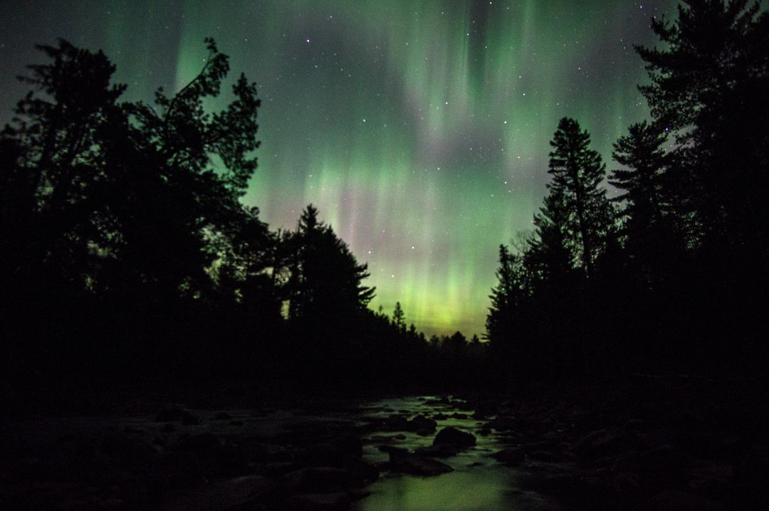 Beautiful Northern Lights Over Forest River at Night - Free Images, Stock Photos and Pictures on Pikwizard.com