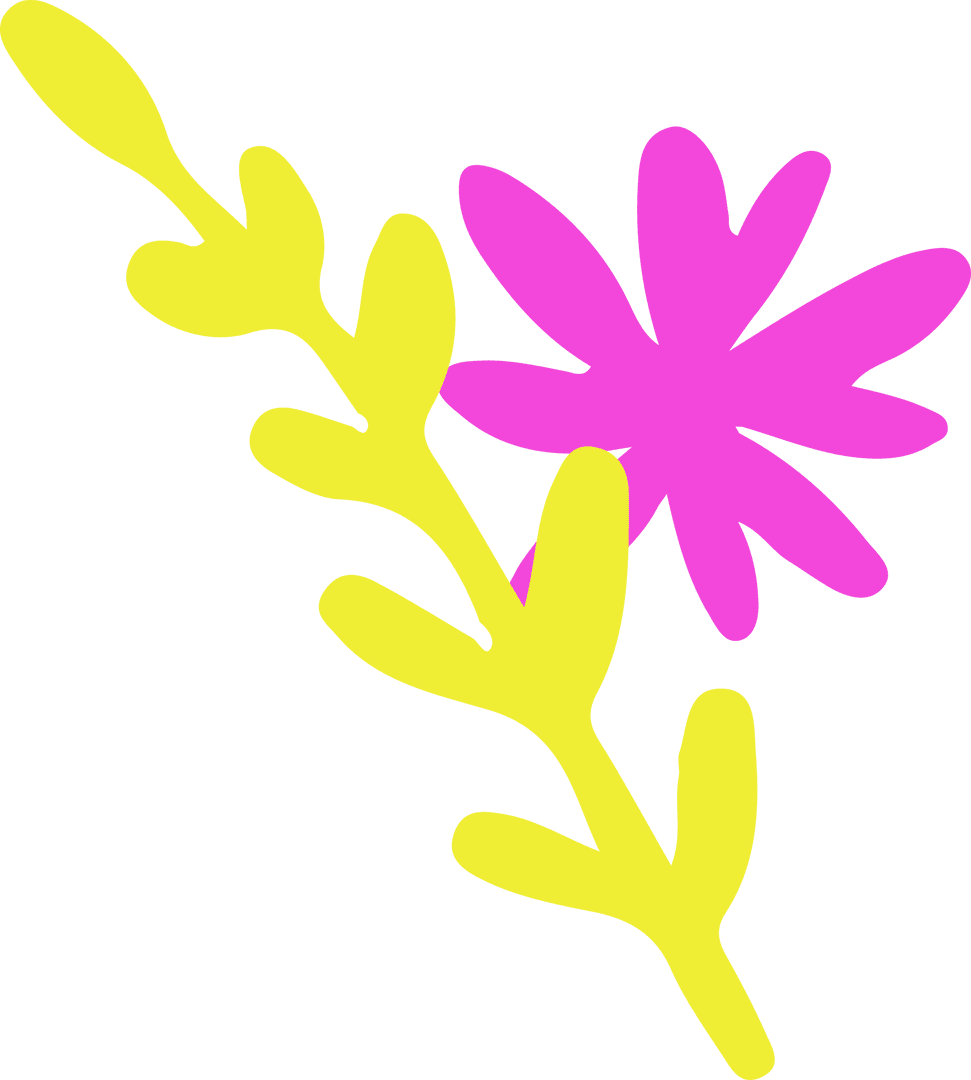 Minimalist Floral Illustration with Sunflower on Transparent Background