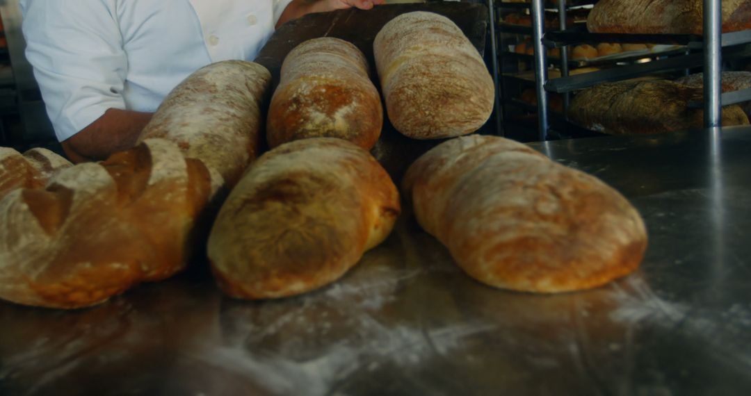 Homemade Artisan Bread Freshly Baked on Display in Bakery - Free Images, Stock Photos and Pictures on Pikwizard.com