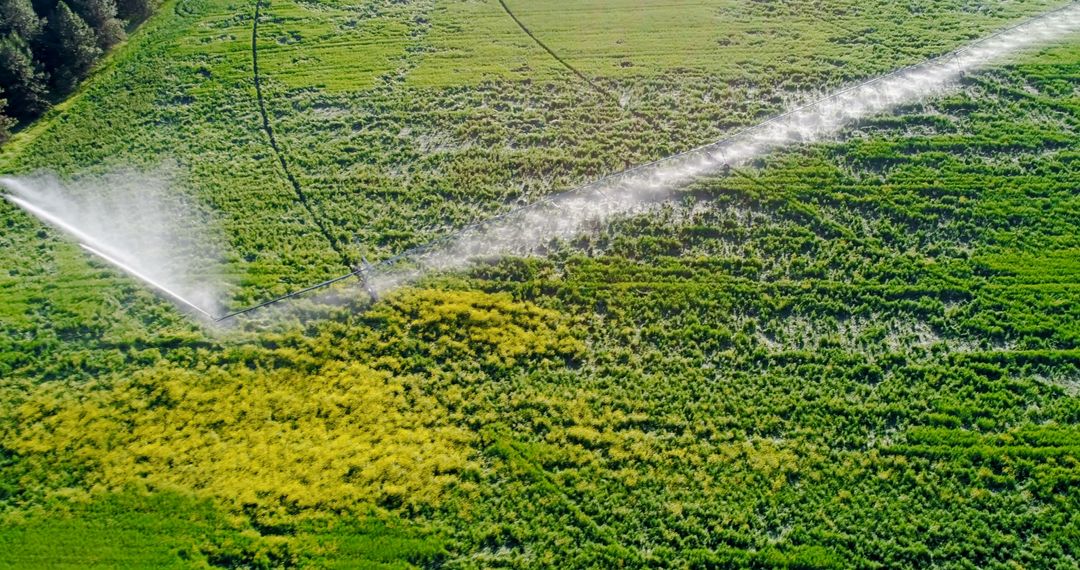 Aerial View of Agricultural Irrigation System on Green Field - Free Images, Stock Photos and Pictures on Pikwizard.com