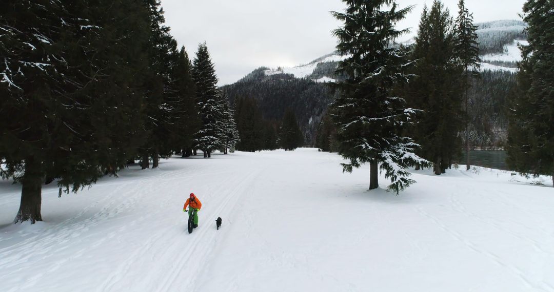 Man Skiing with Dog in Snow-Covered Forested Mountain Landscape - Free Images, Stock Photos and Pictures on Pikwizard.com