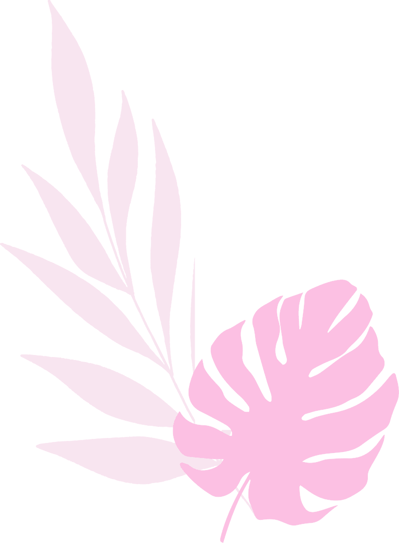 Minimalistic Pink Monstera Leaf Illustration on Transparent Background
