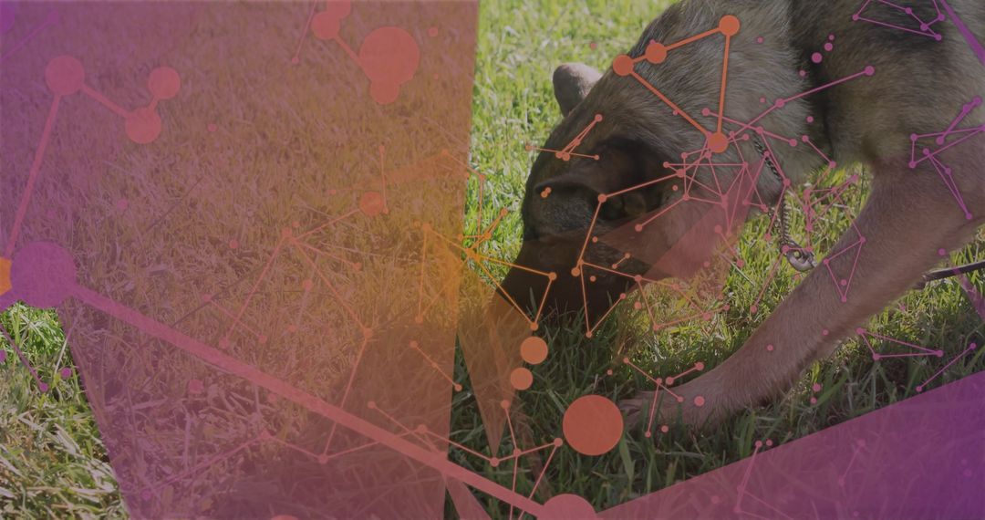 German Shepherd Sniffing Grass with Futuristic Tech Overlay