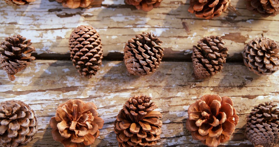 Rustic Pine Cones Arranged on Weathered Wooden Table - Free Images, Stock Photos and Pictures on Pikwizard.com