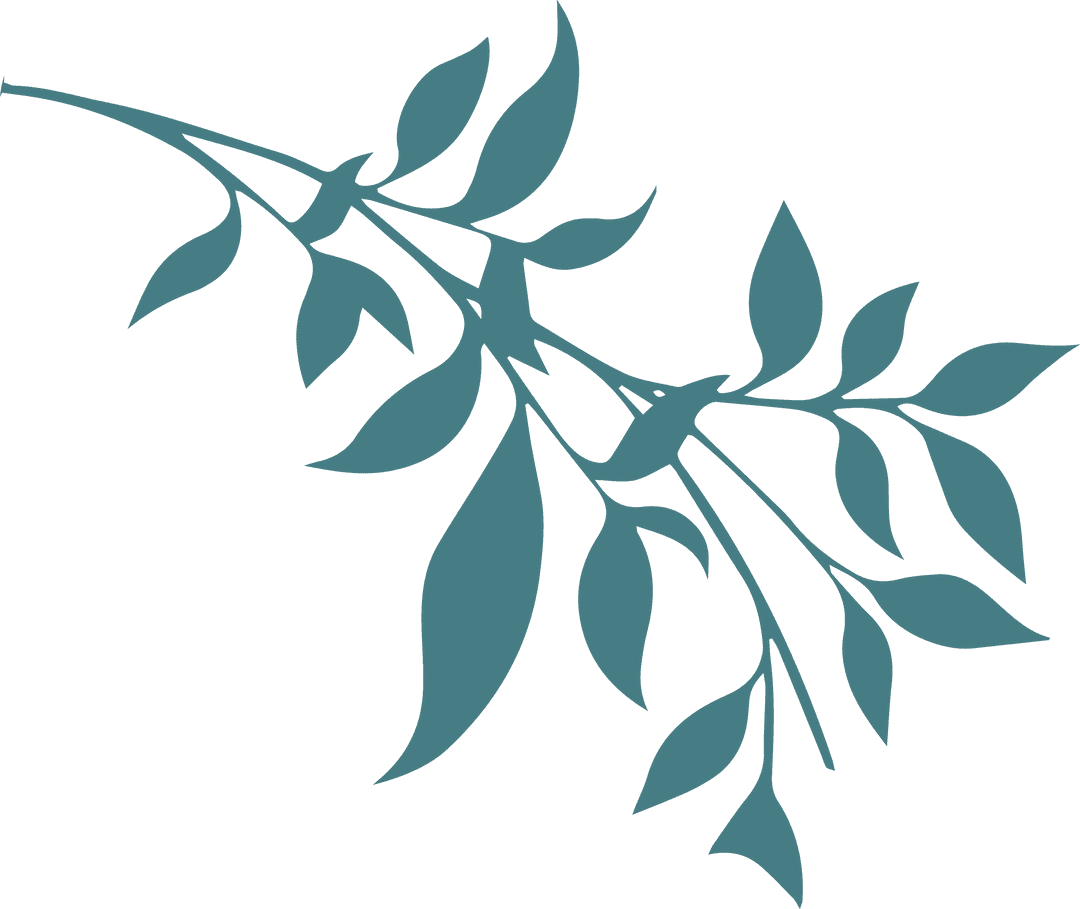 Elegant Teal Branch Illustration on Transparent Background