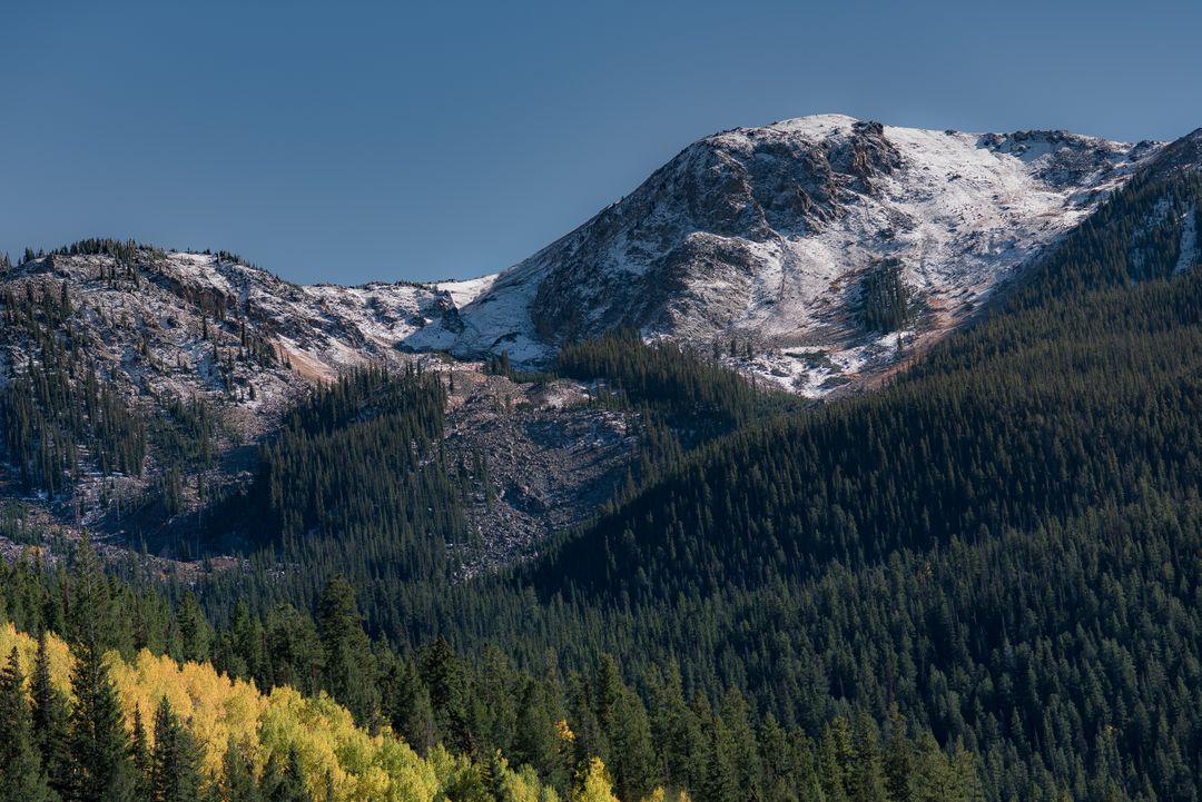 Snow-Capped Mountain Peaks with Dense Coniferous Forest in Autumn - Free Images, Stock Photos and Pictures on Pikwizard.com