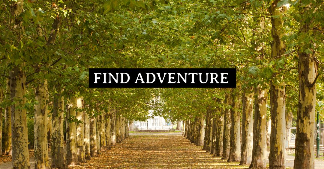 Pathway to Adventure Under Tree-lined Canopy
