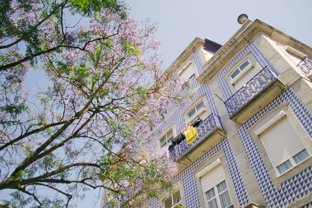 Traditional European Building with Azulejos and Blooming Tree