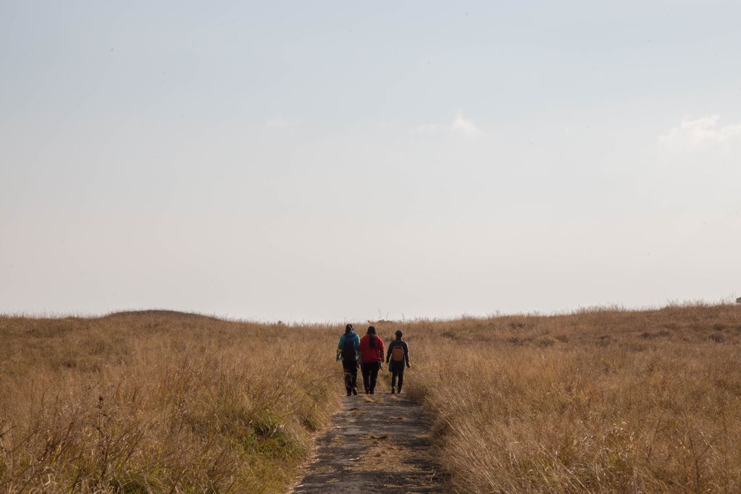 Hikers Walking Trail Through Dry Grassland Under Clear Sky - Free Images, Stock Photos and Pictures on Pikwizard.com