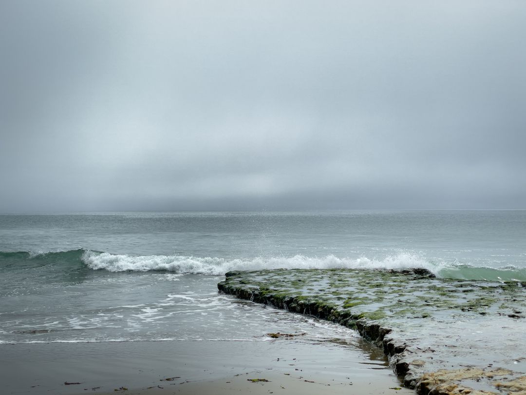 Misty Coastline with Algae-Covered Rock Platform and Gentle Waves