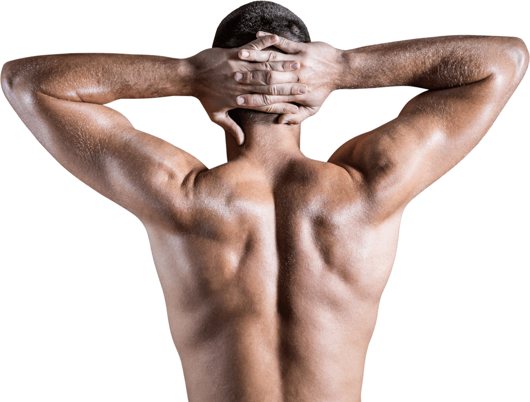 Transparent Muscular Man Rear View with Hands Behind Head