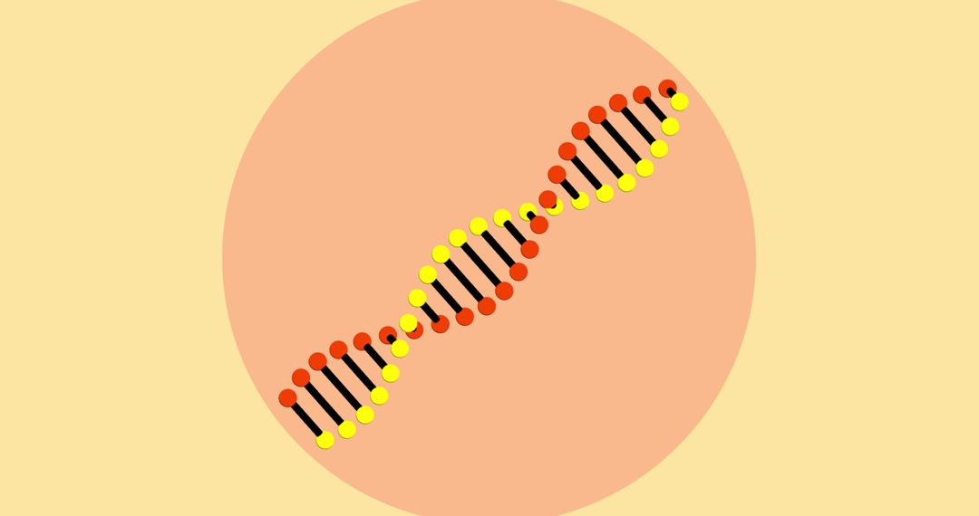 Colorful Double Helix DNA Design on Yellow Background