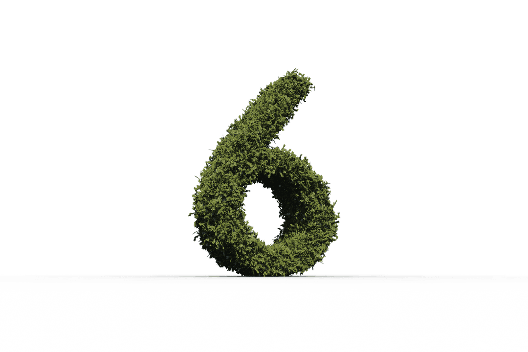 Transparent Leafy Number Six Illustration