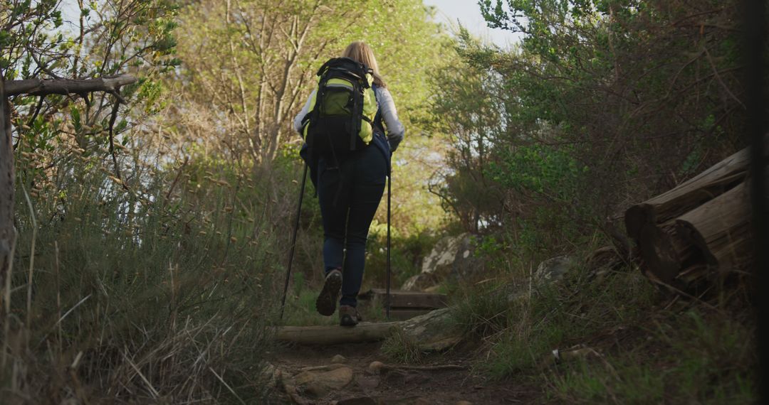 Senior Woman Enjoying a Hike Through Forest Trail