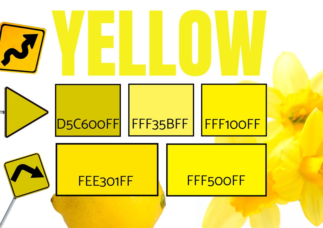 Bright Yellow Tones with Signs and Flowers for Fresh Creativity