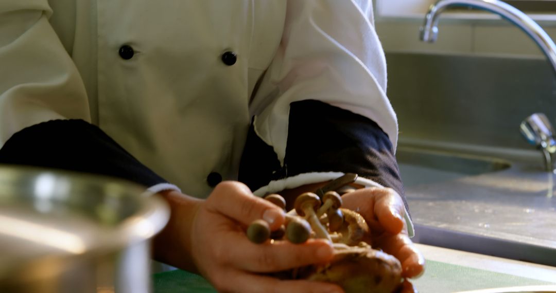 Chef Preparing Fresh Mushrooms in Kitchen - Free Images, Stock Photos and Pictures on Pikwizard.com