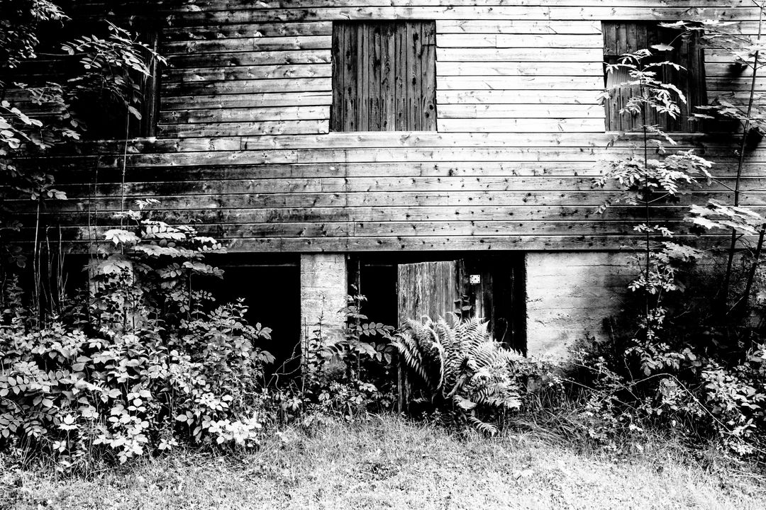 Abandoned wooden building with overgrown foliage - Free Images, Stock Photos and Pictures on Pikwizard.com