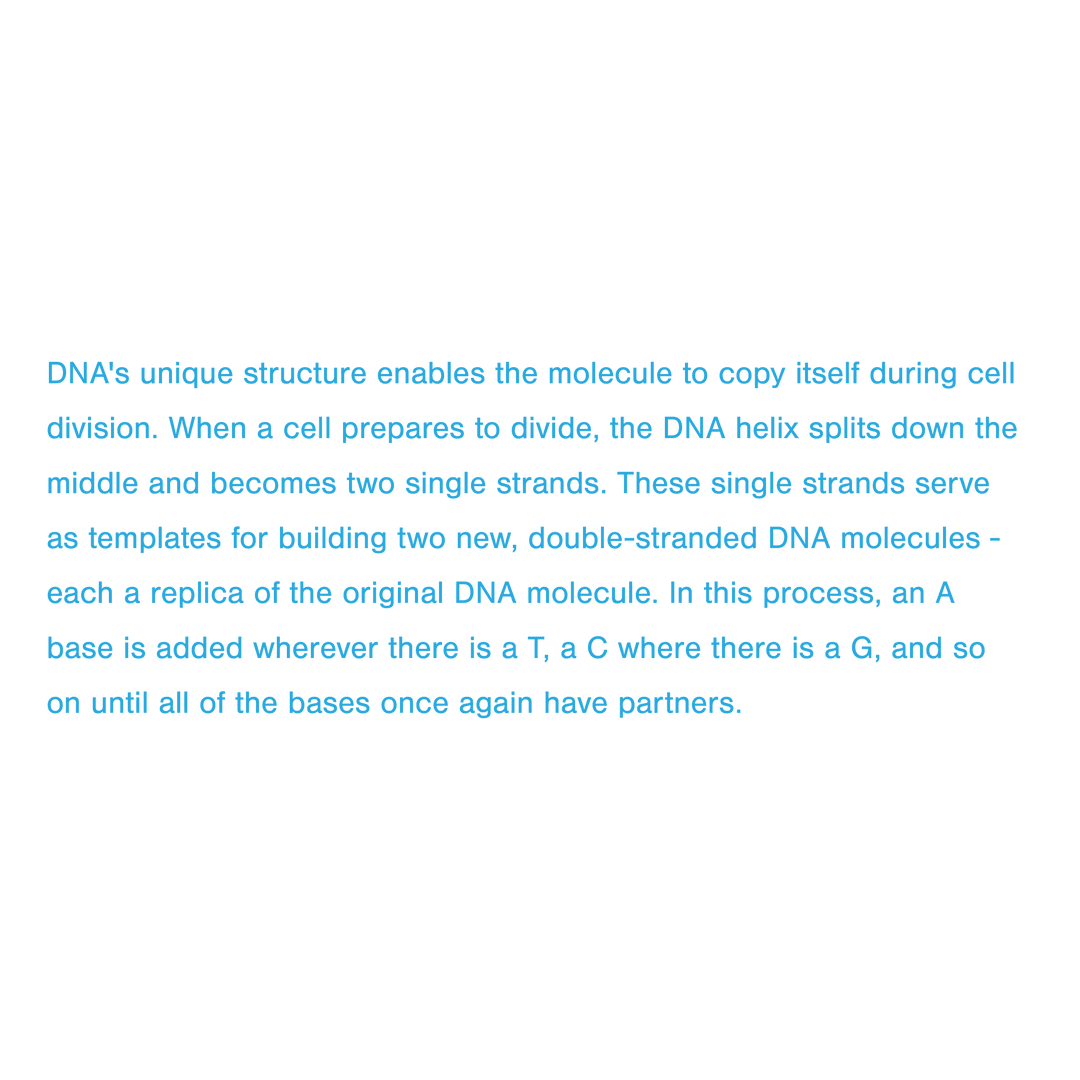 Transparent DNA Information Text for Biology Science Education