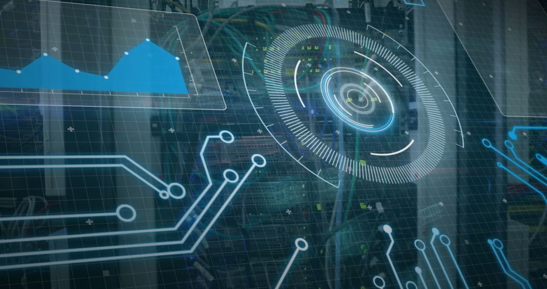Global Digital Interface with Networking Connections