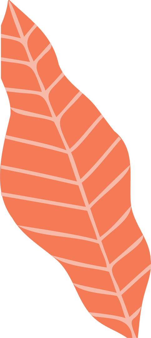 Flat Coral Leaf with Peach Veins on Transparent Background