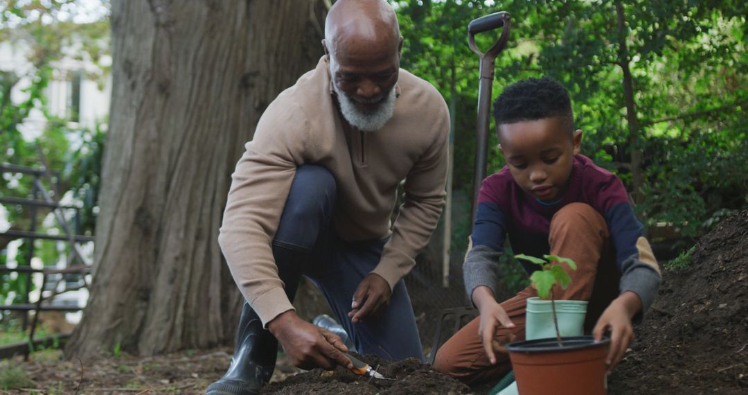 Grandfather and Grandson Gardening Together - Free Images, Stock Photos and Pictures on Pikwizard.com