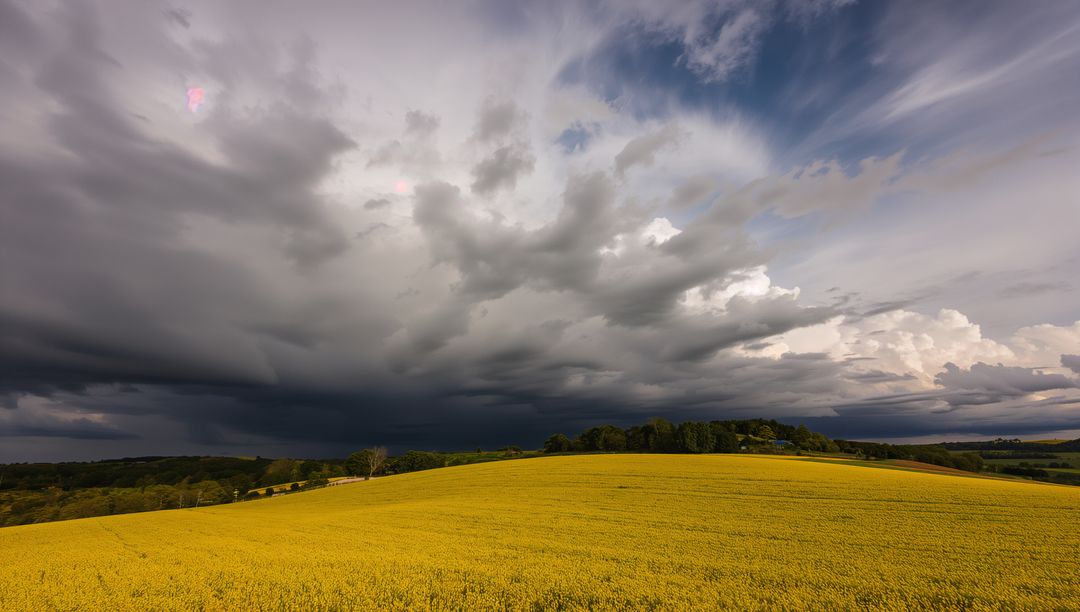 Expansive Countryside with Lavender Fields Under Moody Storm Clouds