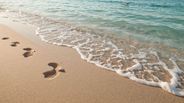 Footprints on Sandy Beach Leading to Ocean with Tranquil Waves