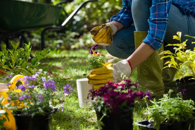 Woman Gardening with Potted Plants in Backyard - Download Free Stock Photos Pikwizard.com