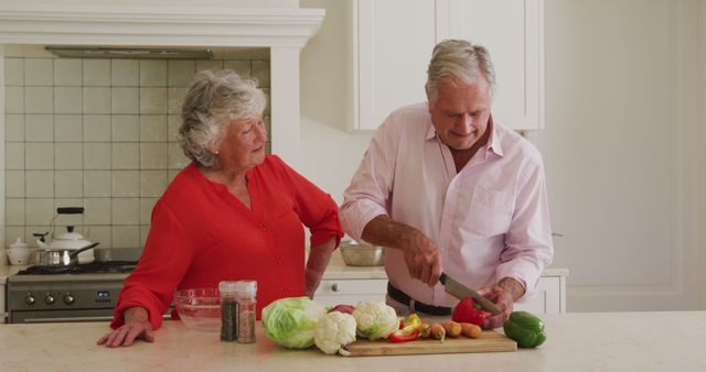 Senior couple is preparing vegetables in bright kitchen, emphasizing a healthy and happy lifestyle. Perfect for illustrations related to senior living, healthy eating, cooking at home, togetherness, and love among the elderly.