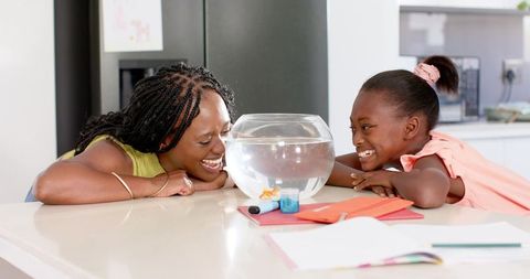 African american mother and daughter laughing over goldfish bowl on bright kitchen island