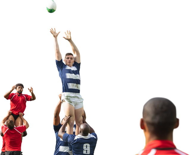 Diverse Male Rugby Players in Intense Game on Transparent Background - Download Free Stock Videos Pikwizard.com