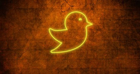 Bright neon bird icon giving vibrant highlight against textured brick background. Represents social media and digital communication concepts. Ideal for marketing materials, advertisements, social media campaigns.