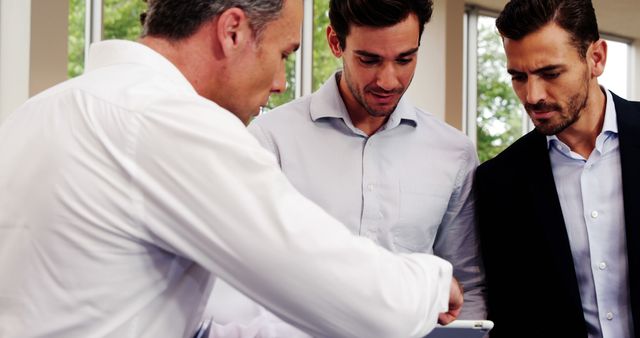 Businessmen Discussing Work on Tablet in Office - Download Free Stock Images Pikwizard.com