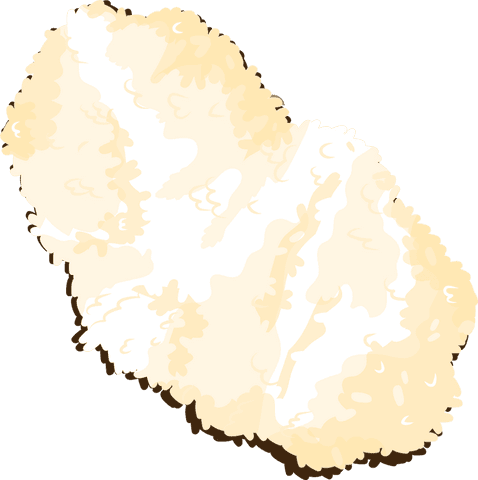 Cauliflower floret illustration on transparent background