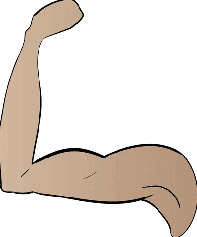 transparent vector art of flexed bicep muscle - Download Free Stock Videos Pikwizard.com