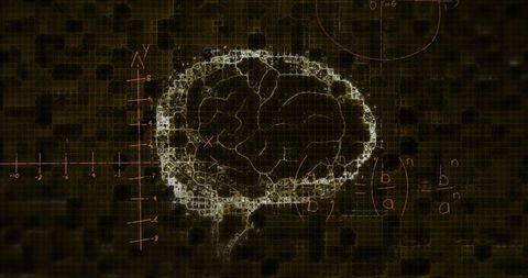 Digital visualization of brain network with formulas and coordinates