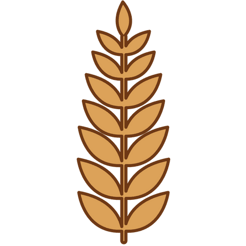 transparent wheat cereal symbol illustration for agriculture - Download Free Stock Videos Pikwizard.com