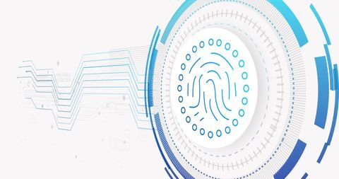 Digital Fingerprint and Network Connectivity Imagery - Download Free Stock Images Pikwizard.com